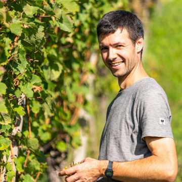 Simon Huber in den Weinreben