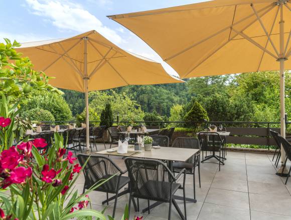 When the wine sparkles in the sun: Beautiful views - Weinhotel Pfeffer & Salz