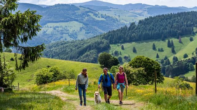 Familienwanderung mit Hund über den Westweg im Schwarzwald