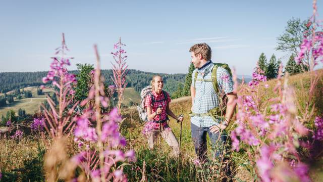 Wanderpaar mit Ausrüstung wandert zwischen Blumen und Felder