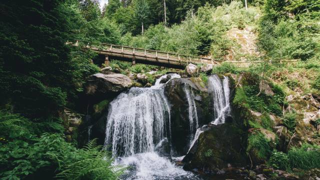 Things to see and do in the Kinzig valley - Weinhotel Pfeffer & Salz