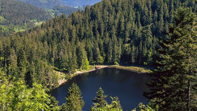 Glaswaldsee im Schwarzwald