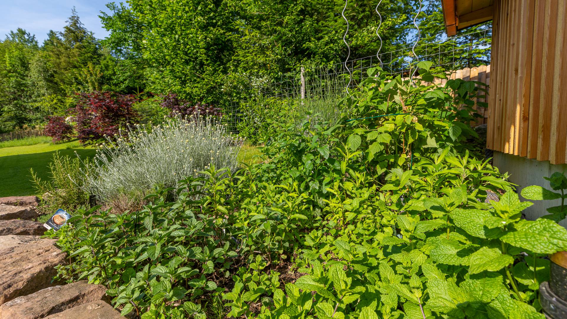 Kräutergarten im Hotel