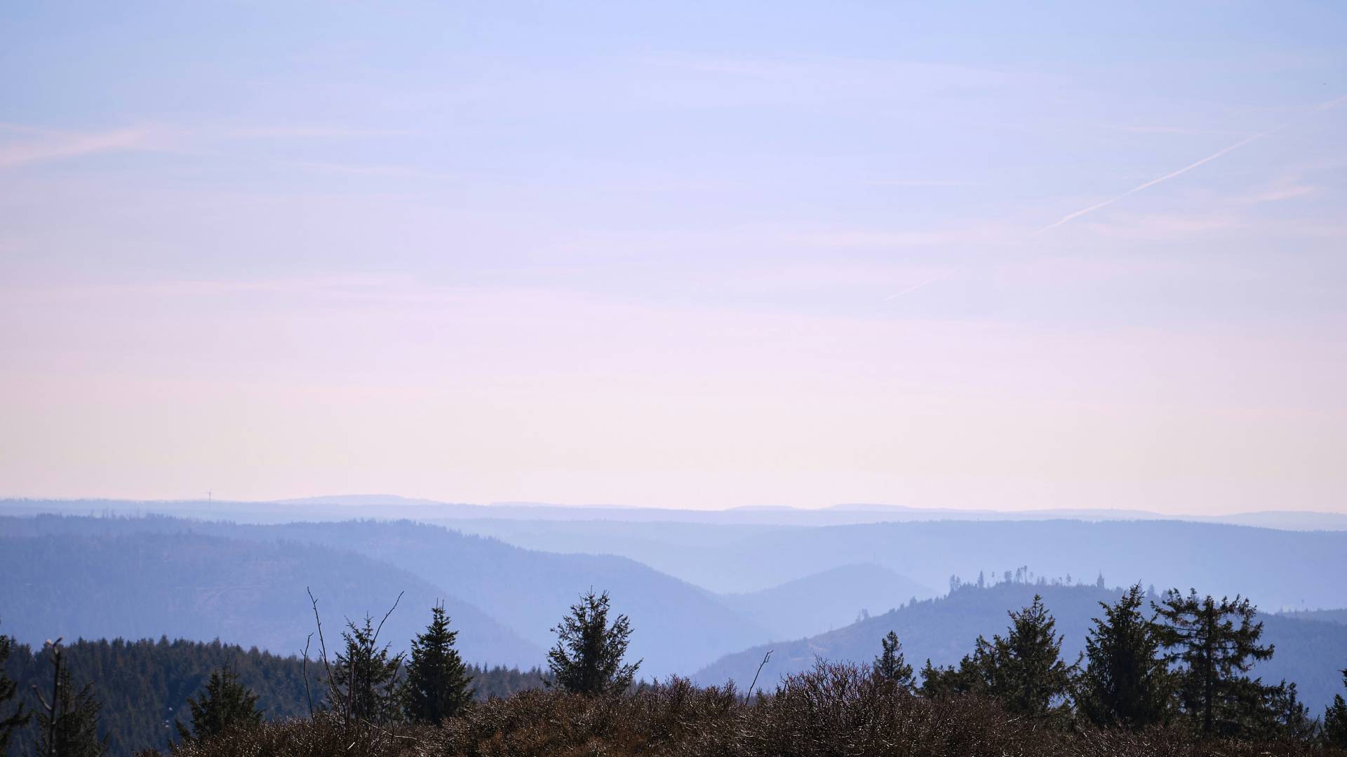 Aussicht auf den Schwarzwald